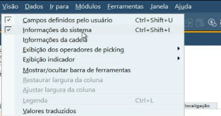 Caminho para habilitar a visão das informações do sistema.